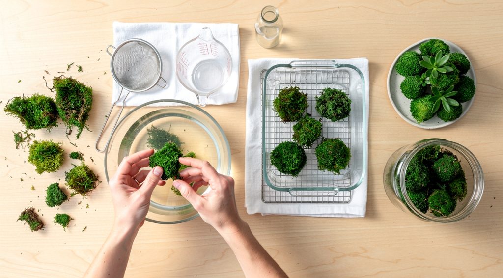 Comment stabiliser de la mousse végétale