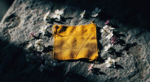 À Lille, une survivante de 94 ans témoigne lors de la commémoration de la déportation