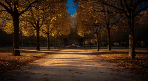 À Limoges, un psychiatre boucle 24h de course pour alerter sur les violences faites aux enfants