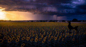 Alerte orages dans le Gers : vigilance jaune en cours, prudence sur les routes
