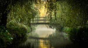 Amiens : le Festival de l&rsquo;Oiseau plonge les familles dans les hortillonnages