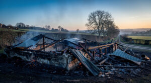 Amifontaine : incendie nocturne, une couvée de poussins décimée