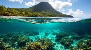 Anses-d&rsquo;Arlet : le tourisme responsable prend racine, sur terre et sous l&rsquo;eau