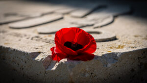 Anzac Day à Amiens : 800 personnes pour le concert de l'Australian Army Band