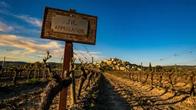 Arbois : l'œnotourisme printanier attire de plus en plus d'étrangers