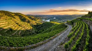 Ardèche Hermitage : un mois entier d&rsquo;activités outdoor pour tous niveaux