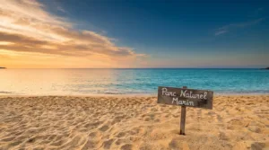 Argelès-sur-Mer : le Parc marin du Golfe du Lion sensibilise avec « Que la mer est belle »