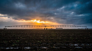 Arras : le préfet du Pas-de-Calais rencontre la CGB sur la filière betterave