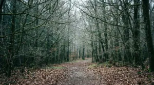 Ateliers stress pour parents : des outils concrets dans l&rsquo;Orne