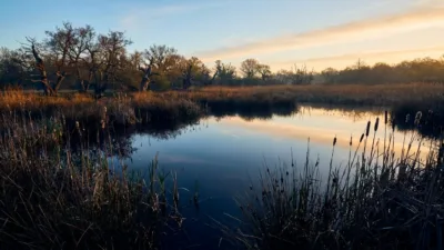 Au Marais de Guînes, le printemps s'installe sur 159 hectares de nature protégée