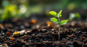 Au Pays du Schiste, les habitants s’emparent des enjeux écologiques