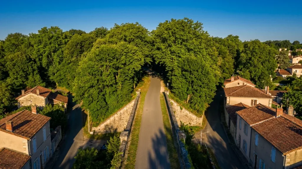 Auxerre : le nouveau conseil municipal s&rsquo;attaque aux pistes cyclables