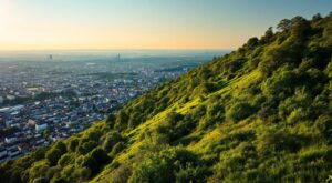 Avenue du Parisis : Argenteuil débat de l&rsquo;après-abandon d&rsquo;un projet vieux de 85 ans