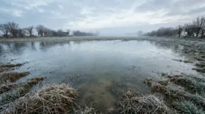 Aveyron : une femme noyée dans un champ, sa sœur mise en examen pour assassinat