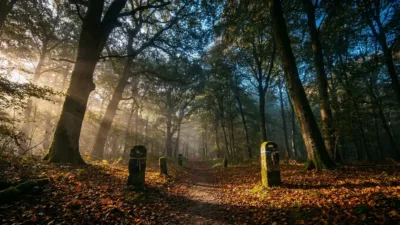 Bagnoles Normandie Trail 2026 : la 30e édition ouvre les inscriptions fin avril