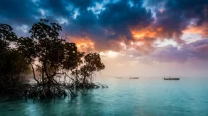 Bandraboua : un marathon solidaire pour lutter contre la pauvreté