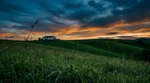 Bayonne : des projections-débats pour une agriculture sans pesticides