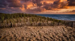 Beauvoir-sur-Mer : les dunes renforcées pour protéger les habitations de l&rsquo;érosion