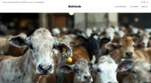 Bellegarde : une campagne de dons soutient les familles frappées par les intempéries