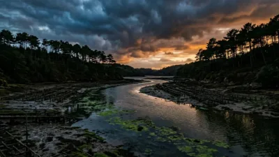 Bélon : les ostréiculteurs face au défi du réchauffement climatique