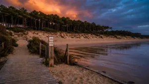Biscarrosse mise sur le tourisme vert pour attirer les visiteurs éco-responsables