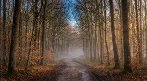 Blacourt : la Course Nature passe au marathon pour sa 2e édition