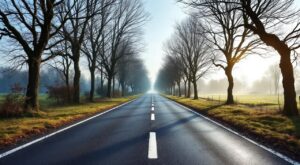 Budget 2026 de Loire Forez Agglomération : cap sur l&rsquo;environnement et les transports