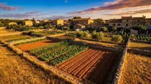Cabestany : le jardin partagé, outil de lien entre générations