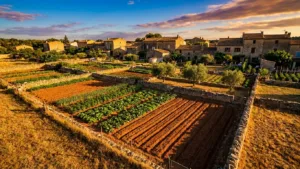 Cabestany : le jardin partagé, outil de lien entre générations