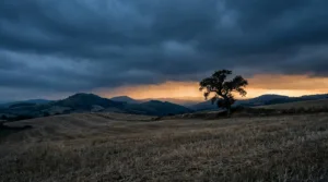 Cantal : des conférences pour aider les agriculteurs à tenir face au stress des récoltes