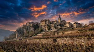 Château-Chalon : les vignerons se mobilisent pour les insectes pollinisateurs