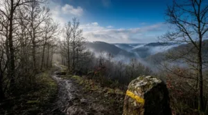 Châtelus : un randonneur porté disparu retrouvé sain et sauf