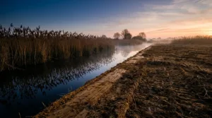 Cirières : une association porte plainte pour destruction illégale d&rsquo;une zone humide