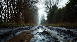 Corrèze : une dérogation pour tailler les haies accordée jusqu&rsquo;au 16 avril 2026