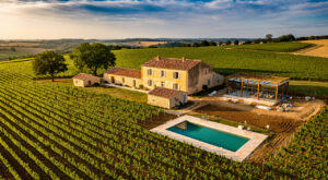 Crise viticole : le Domaine du Roussillon mise sur l'œnotourisme à Saint-Nauphary