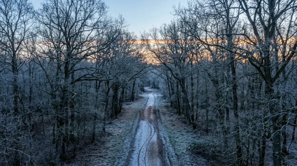 Cross de l&rsquo;Aisne 2026 : 449 coureurs à Monampteuil, un record historique