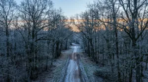 Cross de l&rsquo;Aisne 2026 : 449 coureurs à Monampteuil, un record historique