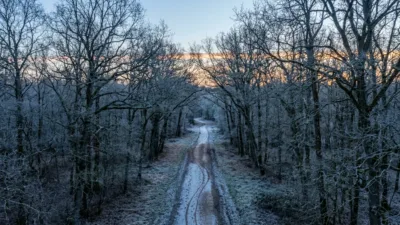 Cross de l'Aisne 2026 : 449 coureurs à Monampteuil, un record historique