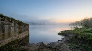 Damery : les riverains plantent pour sauver les berges de la Marne