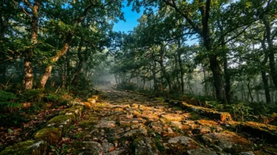 Désaignes : la 30e Ardèche Trail La Voie Romaine réunit 2700 coureurs sur les traces de César