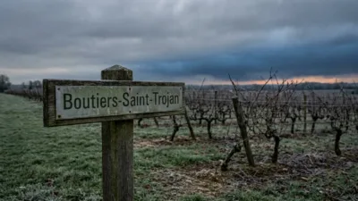 Disparus de Boutiers : 53 ans après, le cold case Méchinaud relancé par de nouvelles fouilles