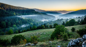 Drôme : la préfète inaugure les nouveaux bureaux de l&rsquo;OFB à Eurre