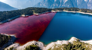 Encre rouge dans le lac Léman à Allinges : 57 000 m² colorés, sans danger
