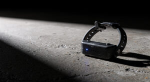 Épinal : 9 mois ferme pour violences conjugales en récidive après une altercation mutuelle