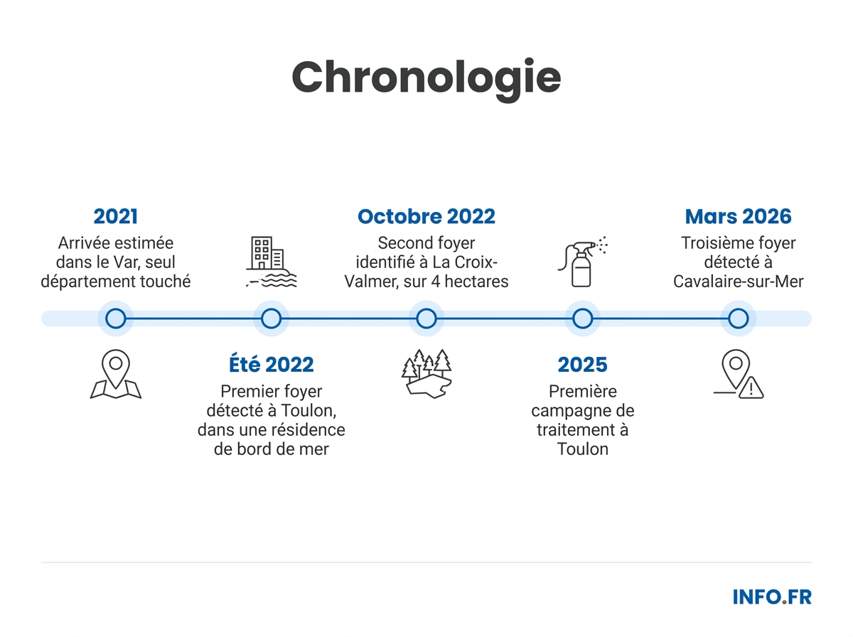 Infographie chronologie