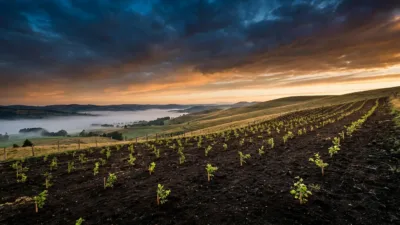Flageac : des arbres plantés pour freiner l'érosion des collines du Cantal