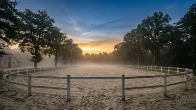 Fontainebleau : le Grand Parquet accueille l'élite mondiale du dressage