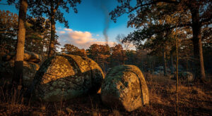 Fontainebleau : le SDIS 77 publie une vidéo d&rsquo;immersion sur un feu de forêt ce matin