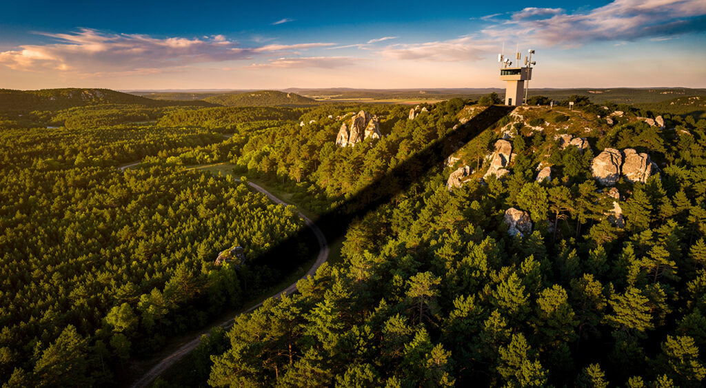 Fontainebleau : l’IA détecte le premier incendie de forêt de 2026 en 30 secondes