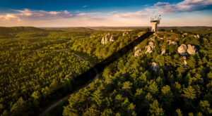 Fontainebleau : l’IA détecte le premier incendie de forêt de 2026 en 30 secondes